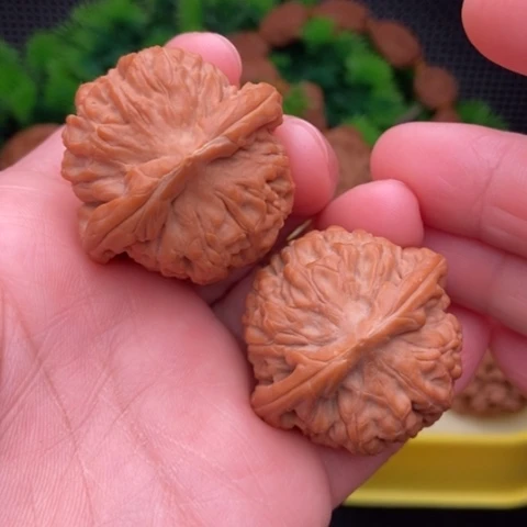 莲花狮子头38全品1111111