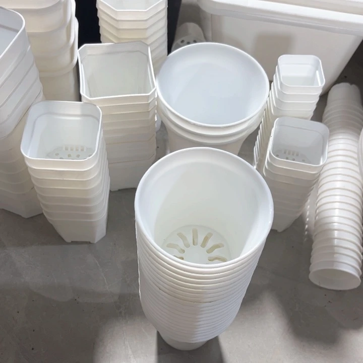 白万象口9高9一组20个