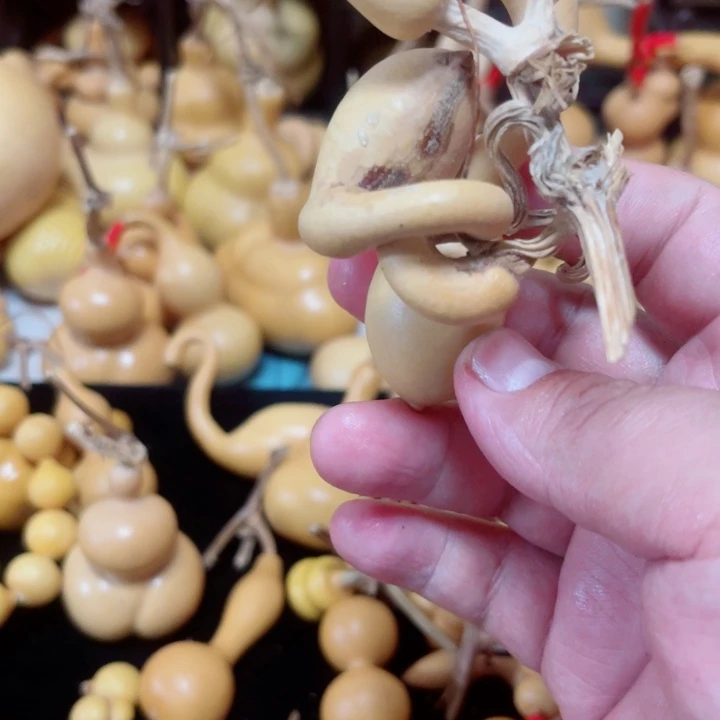 刘****)蜗牛腰杆的设计与使用方法第一