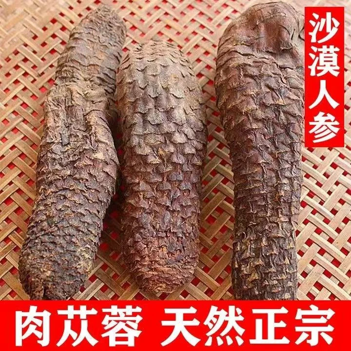 肉苁蓉硬质肉苁蓉硬大芸沙漠人参新疆特产肉苁蓉整根切片泡水泡酒