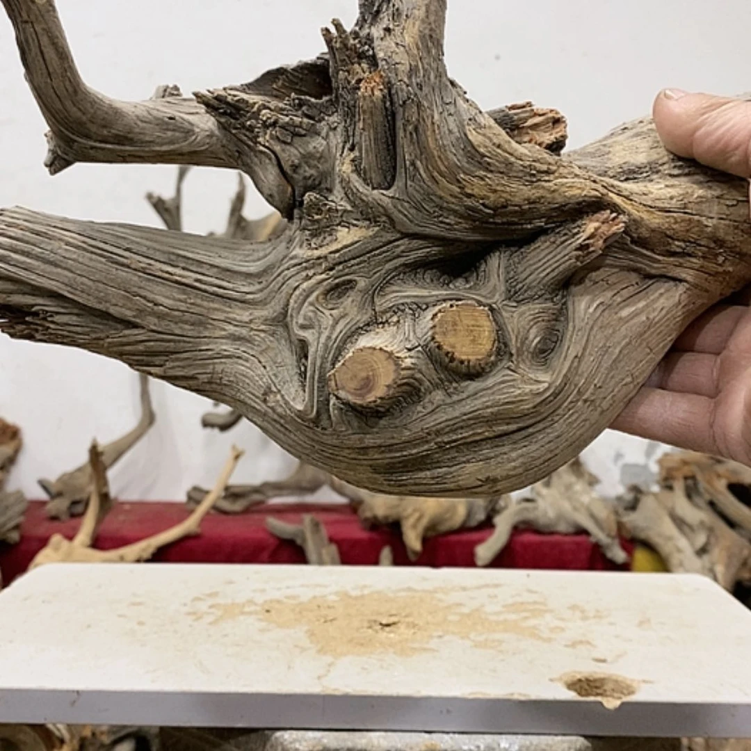 【闪购商品】柏木叶*我们都是好孩子