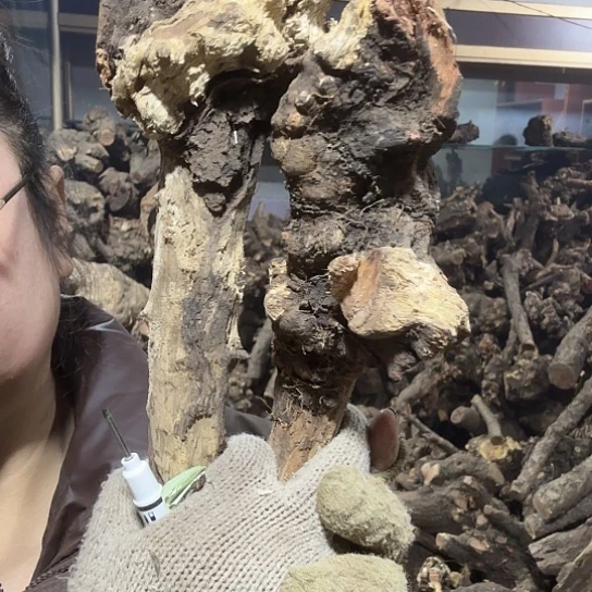 香榧木米*鼠火琉璃的故事是毛料摆件