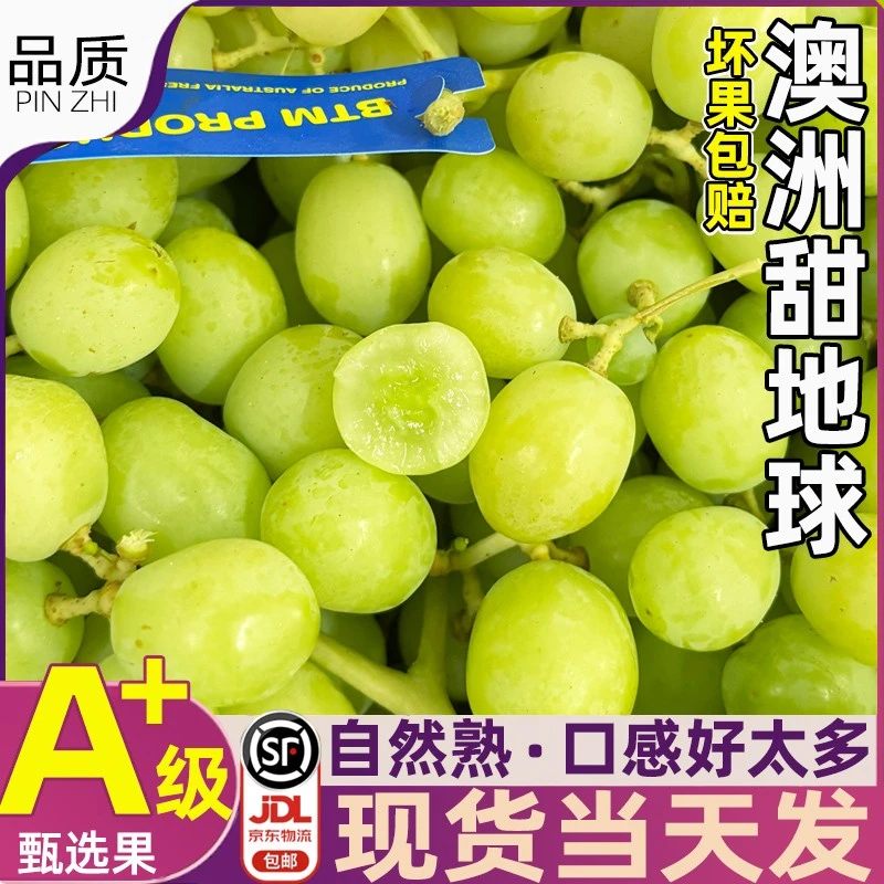 澳洲进口甜地球秋天脆青提新鲜孕妇水果脆甜当季顺丰包邮1-4斤