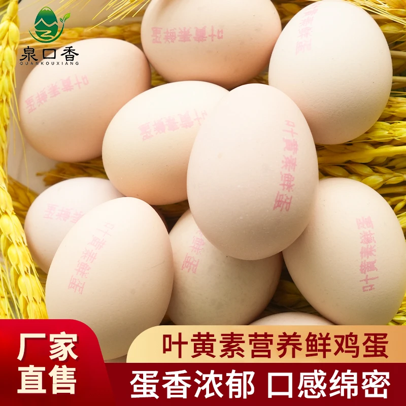 泉口香高硒高叶黄素新鲜营养安全好吃无化学色素添加30枚/50枚