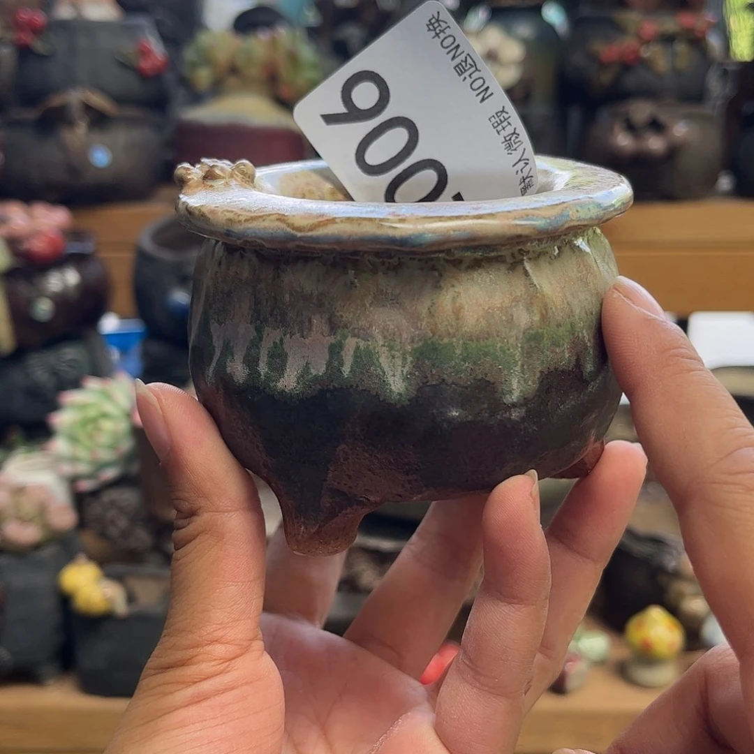 哈哈好哈哈我现在真的006