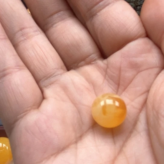 琥珀未镶嵌珠宝奇石蜜蜡圆珠