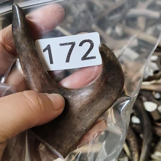 奥***开鹿角鹿角鹿角鹿角鹿角鹿角