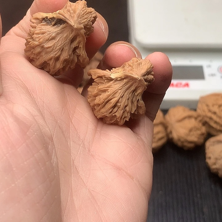 快***～吊坠文玩核桃小鸟
