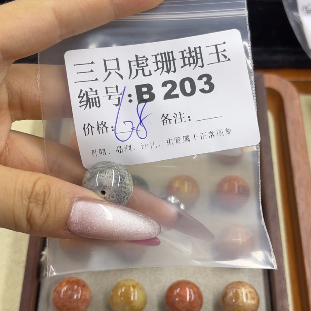 左***࿐硅化珊瑚（珊瑚玉）h未镶嵌