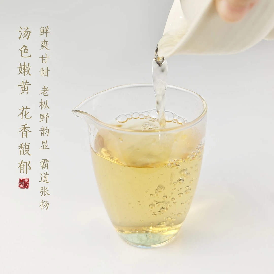 【森养饼】六十年树龄 2023年二级有机野生贡眉饼100g