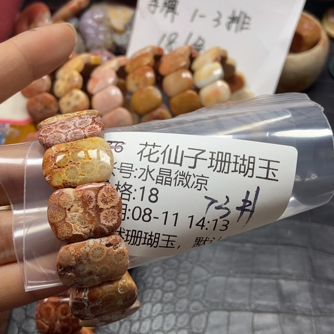 水***凉硅化珊瑚（珊瑚玉）未镶嵌珠宝半成品73
