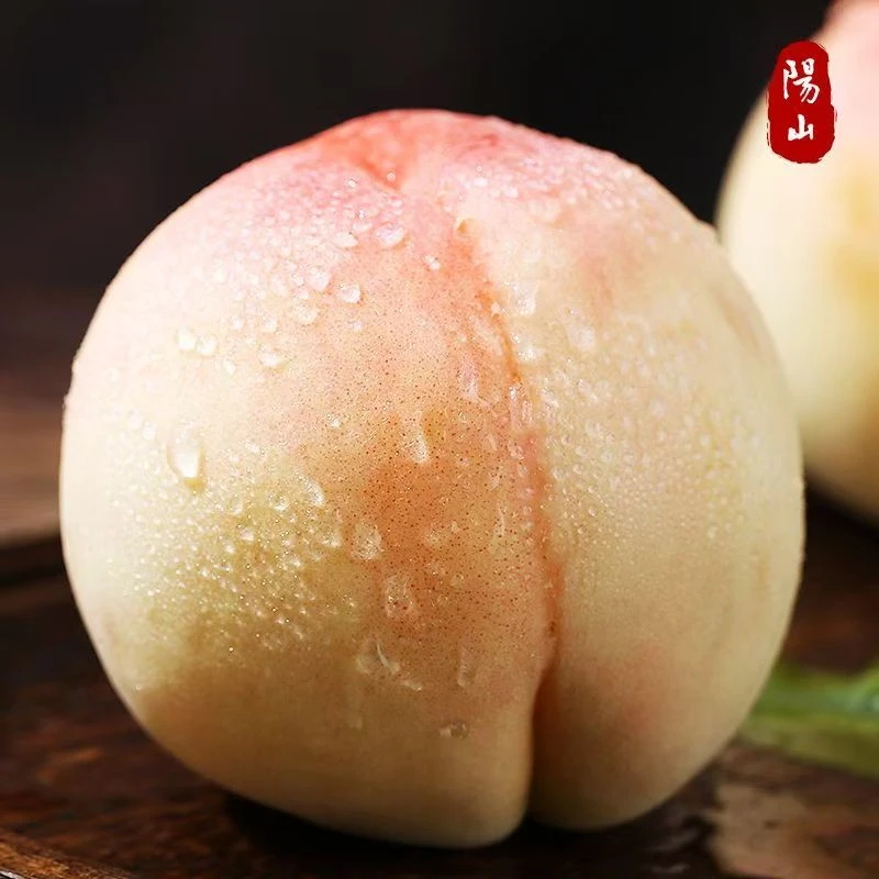 正宗阳山水蜜桃-无锡【1斤左右】桃王一盒4个 【桃园发货】