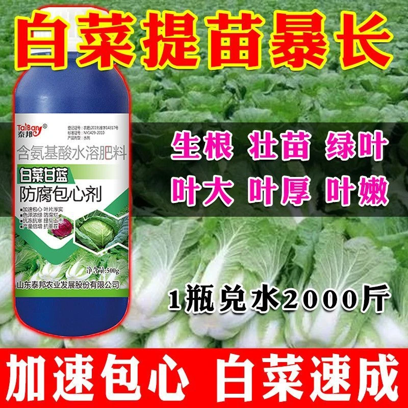 【猛长】白菜速长猛长肥料叶面肥白菜茎粗叶肥厚生长快早上市