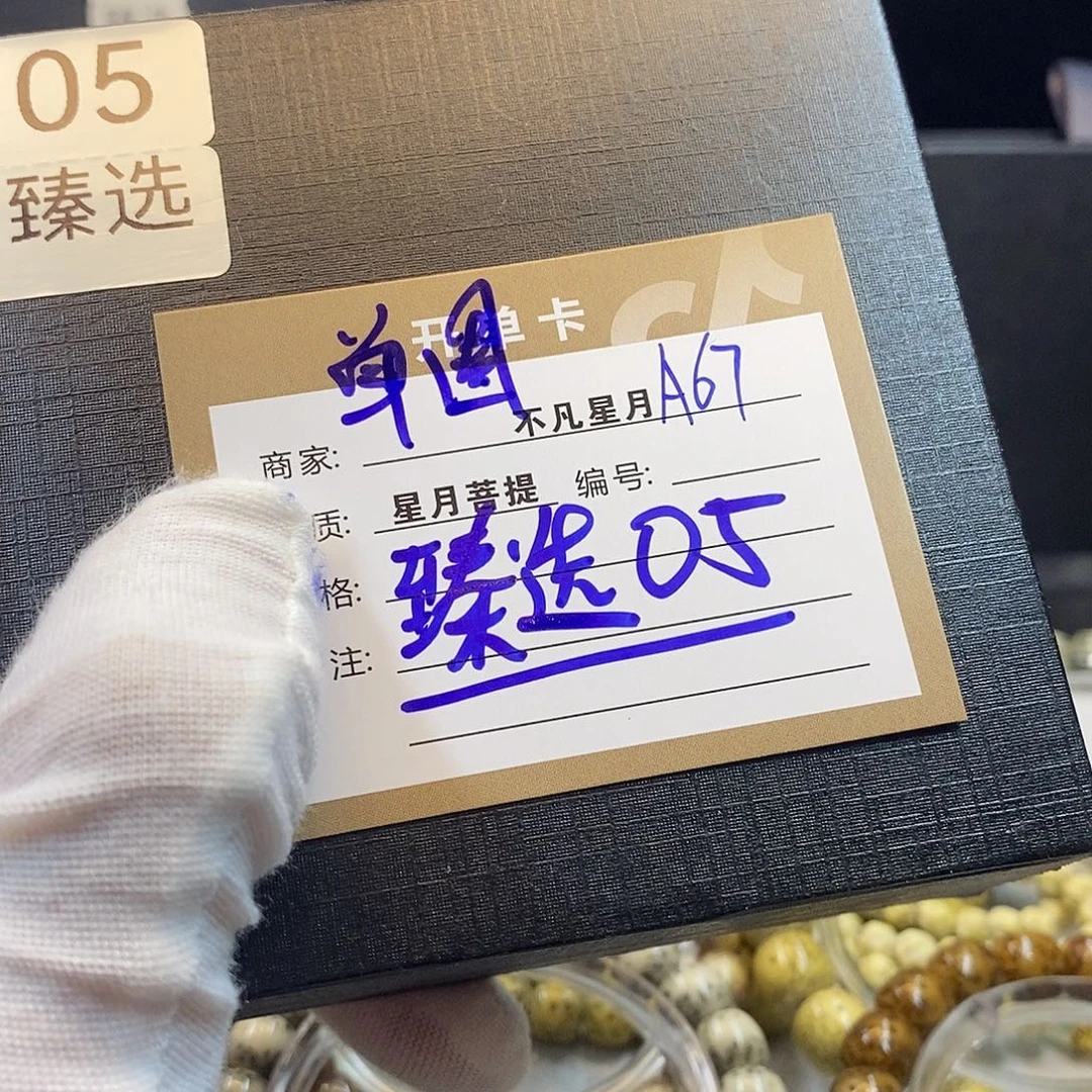 星月菩提吊坠11112222A67