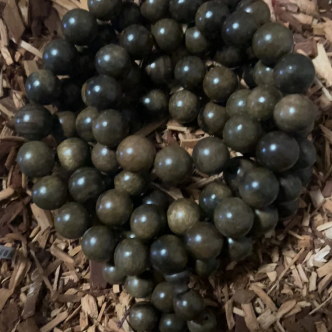 24 福来精选高端文玩