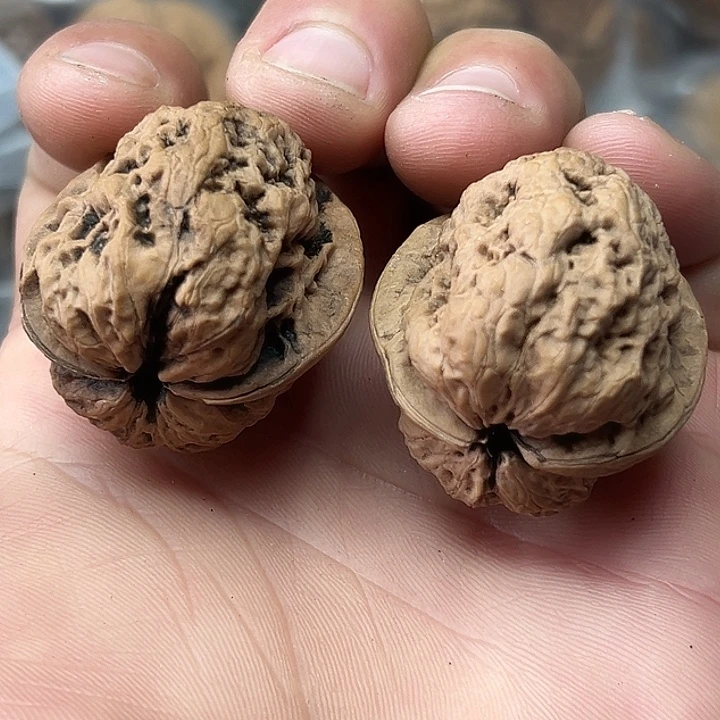 文玩核桃把件3号官帽蟾35尺