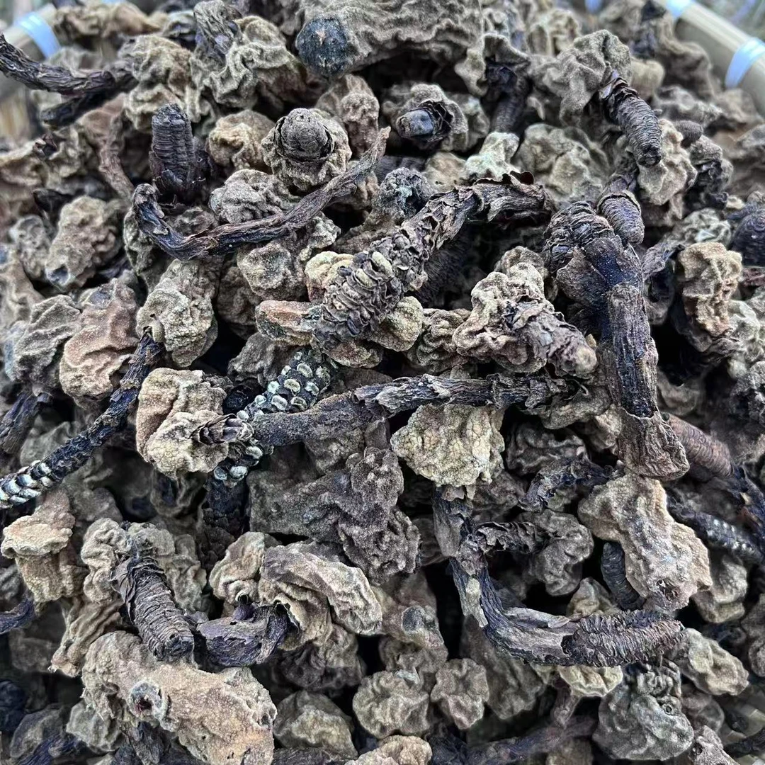 翠翠家-西藏墨脱回春草参干货