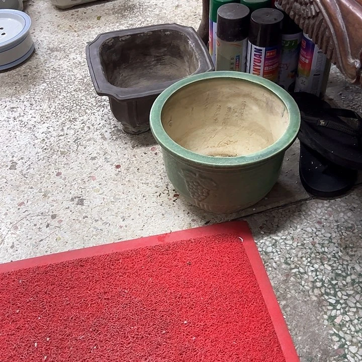 红陶E****兔。。。。。。。。。。