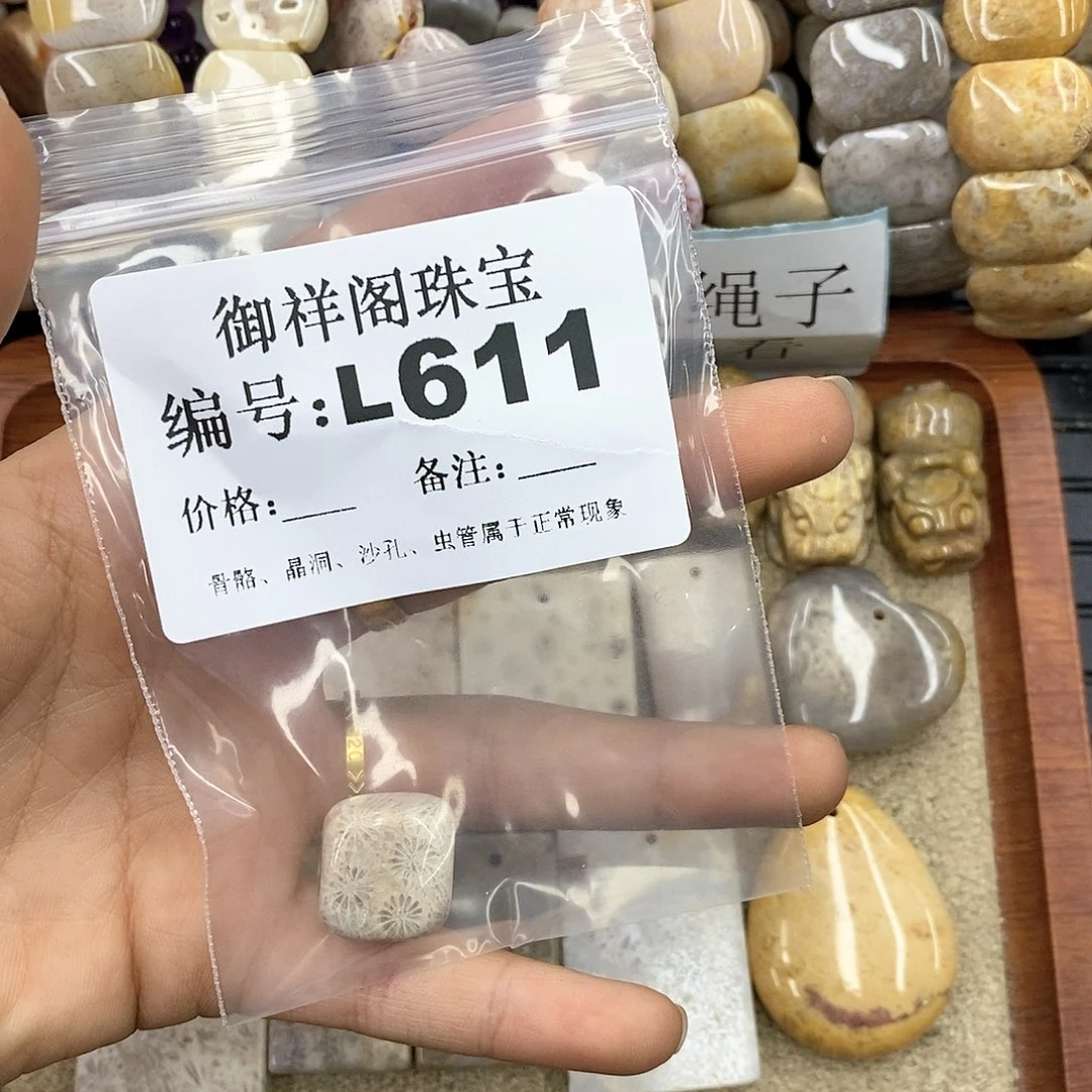 硅化珊瑚（珊瑚玉）L未镶嵌澜