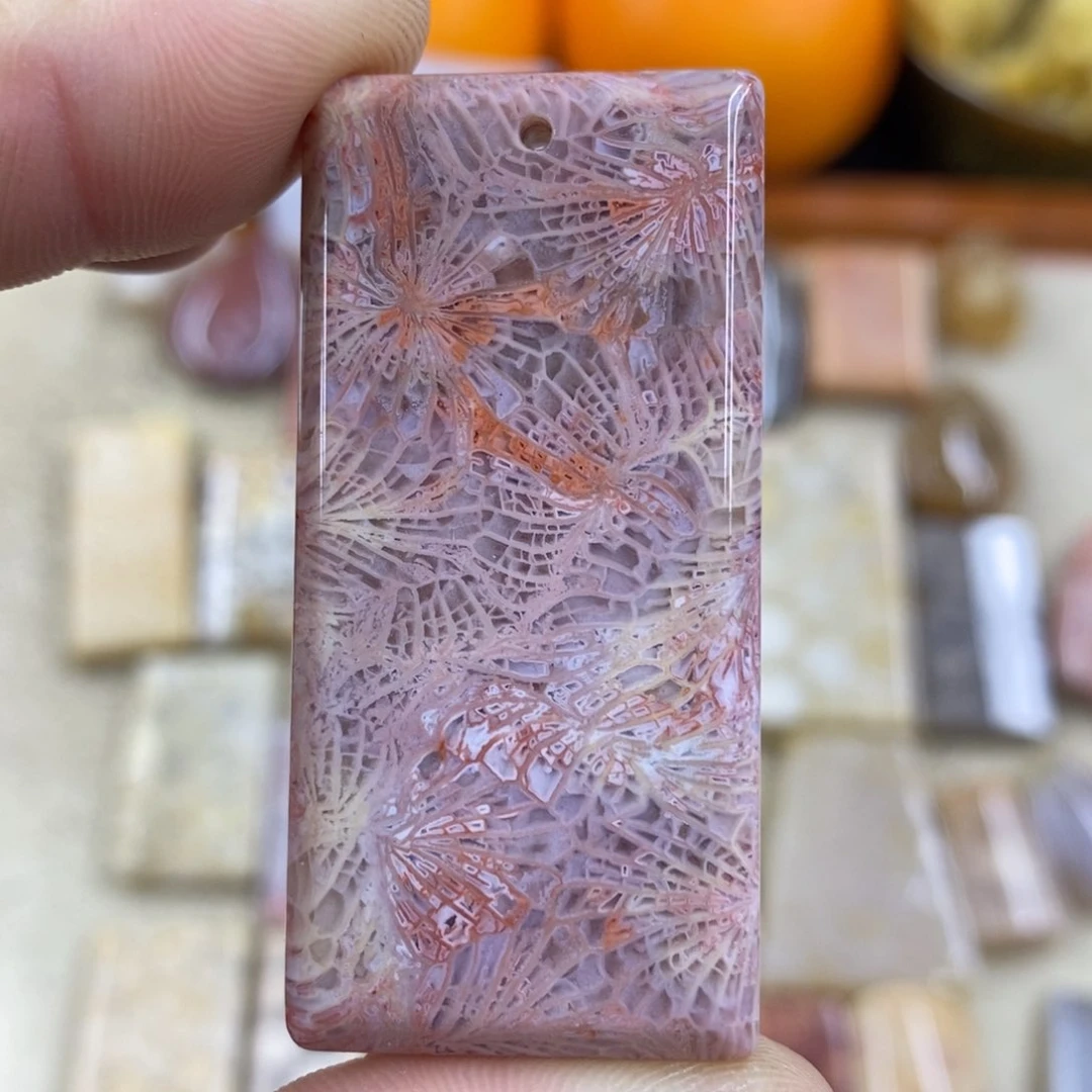 硅化珊瑚（珊瑚玉）A526未镶嵌