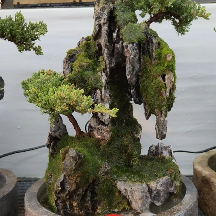 无花朵青龙石假山盆景