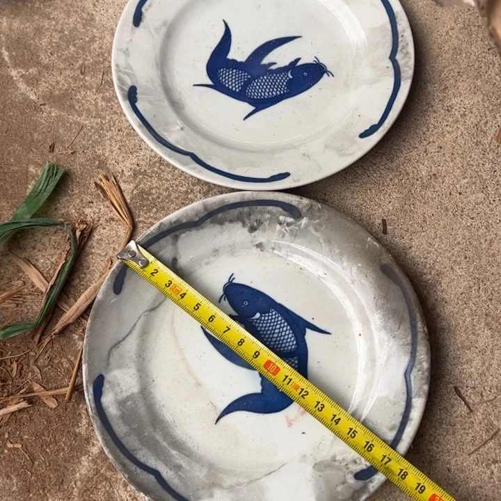 瓷片18厘米金鱼平盘