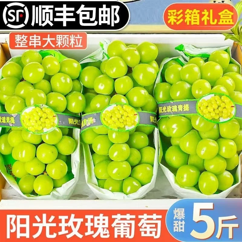 【顺丰包邮】【今天拍明天到】阳光玫瑰葡萄现采现发保证新鲜SS葡萄同城送湖南省