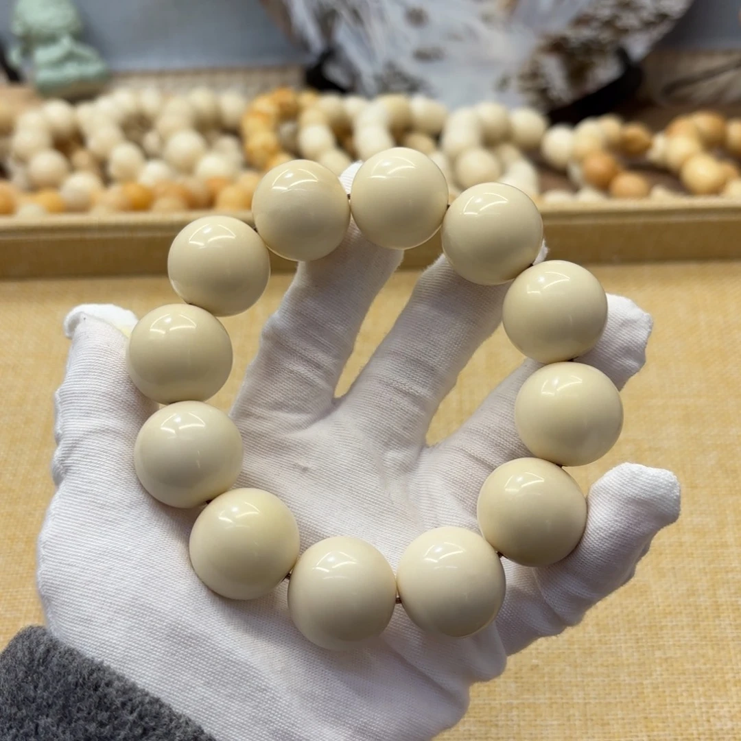 吊坠菩提根/象牙果22干磨瑕疵牙果圆珠597