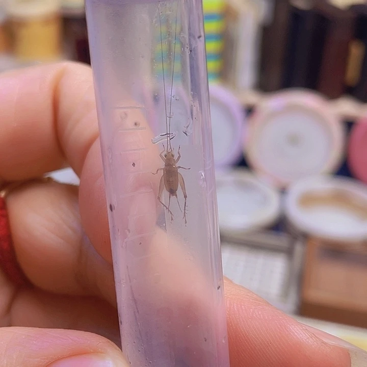 沐***1中黄1啊啊啊啊啊啊