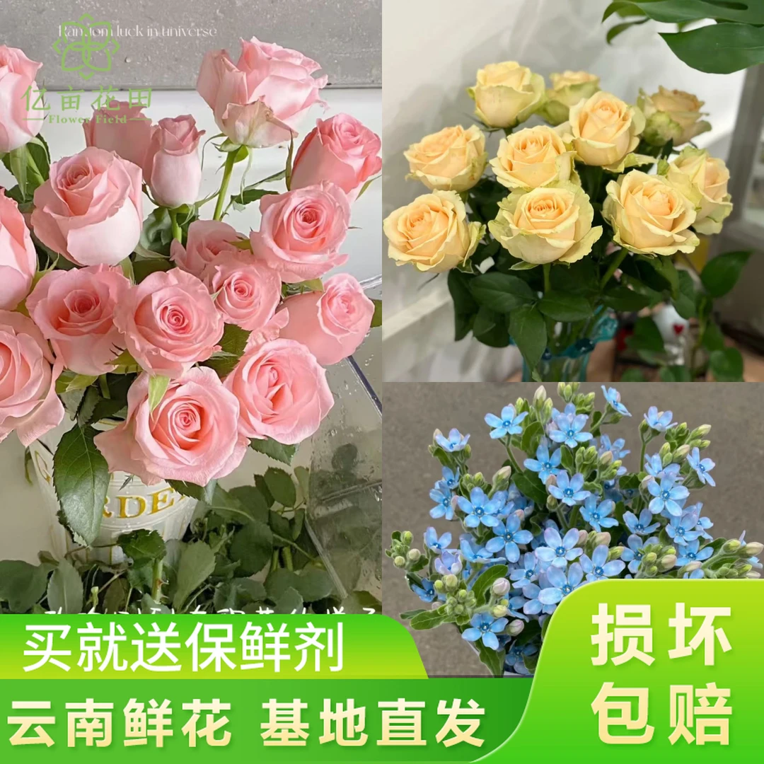 【香槟玫瑰10支+戴安娜10支+蓝星花1扎】中秋好礼套餐两件升级顺丰