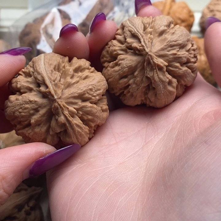 别***吗文玩核桃吊坠霸王龙