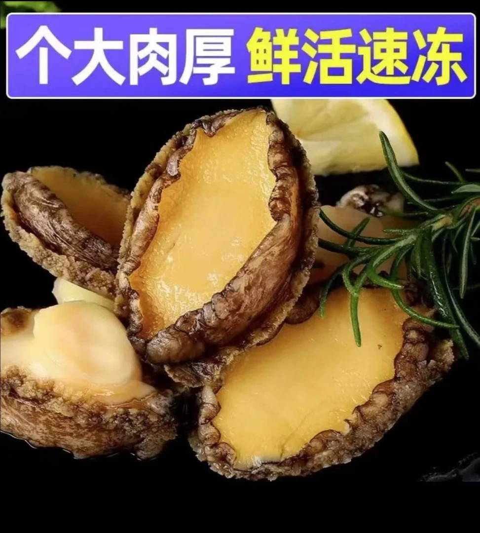 A【春春海鲜】超大号速冻鲍鱼肉去壳内脏600克左右/包 到手20只