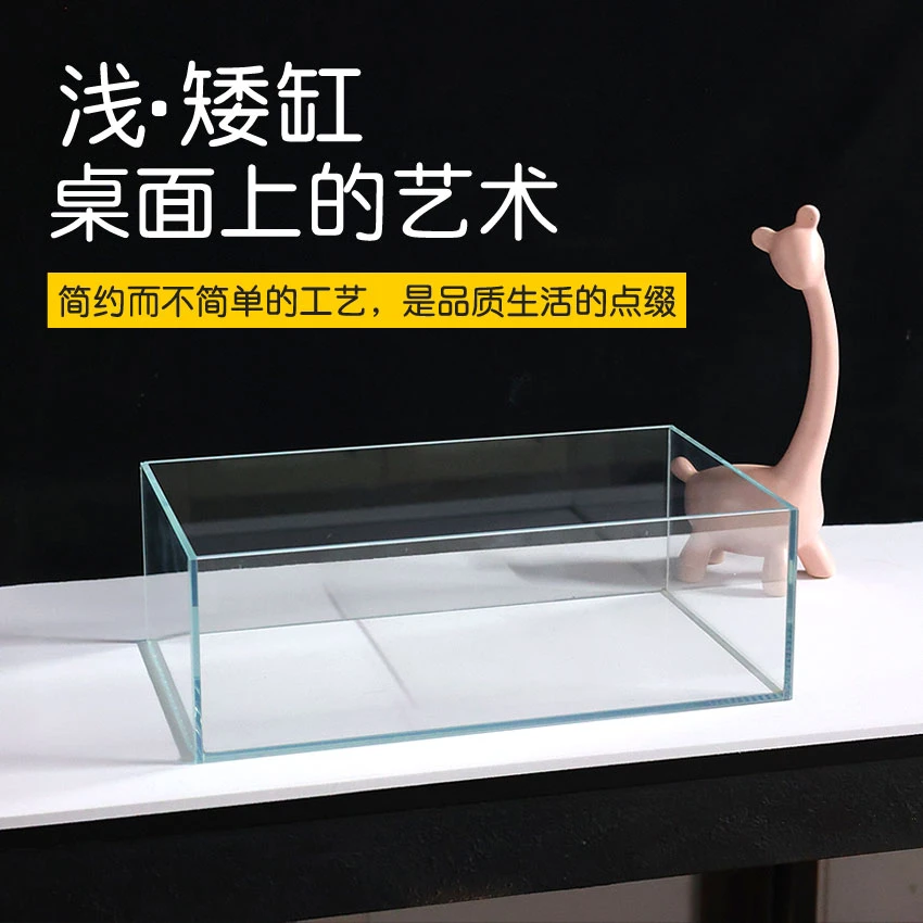 【新奇宠物】桌面超白玻璃矮缸浅缸生态苔藓缸六角恐龙水培植物展示