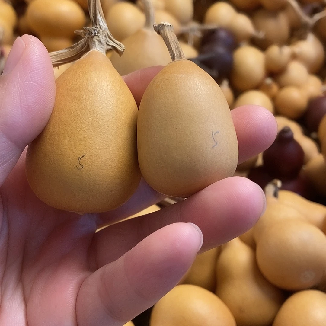 文玩葫芦 完美主义者 慎拍5