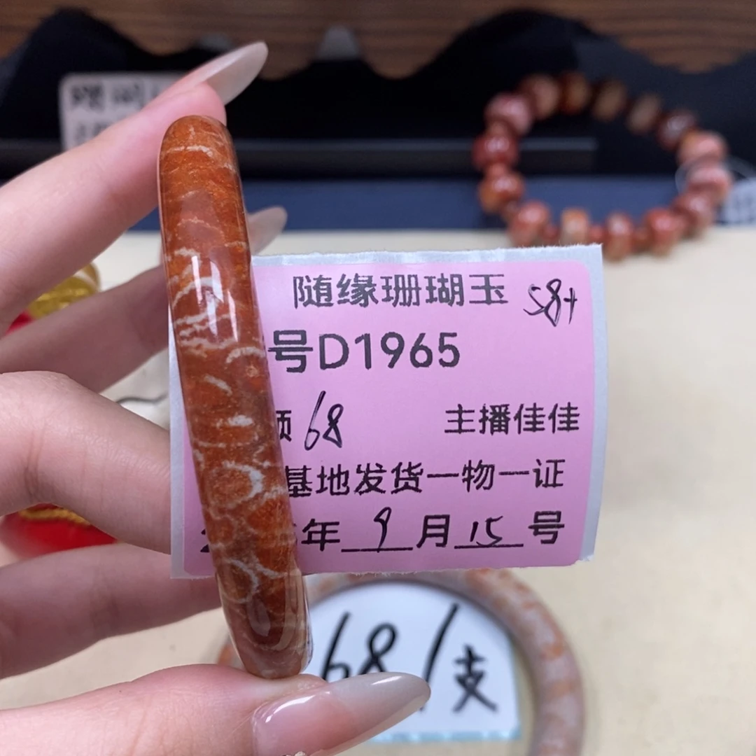 未镶嵌D1965硅化珊瑚（珊瑚玉）想***梦