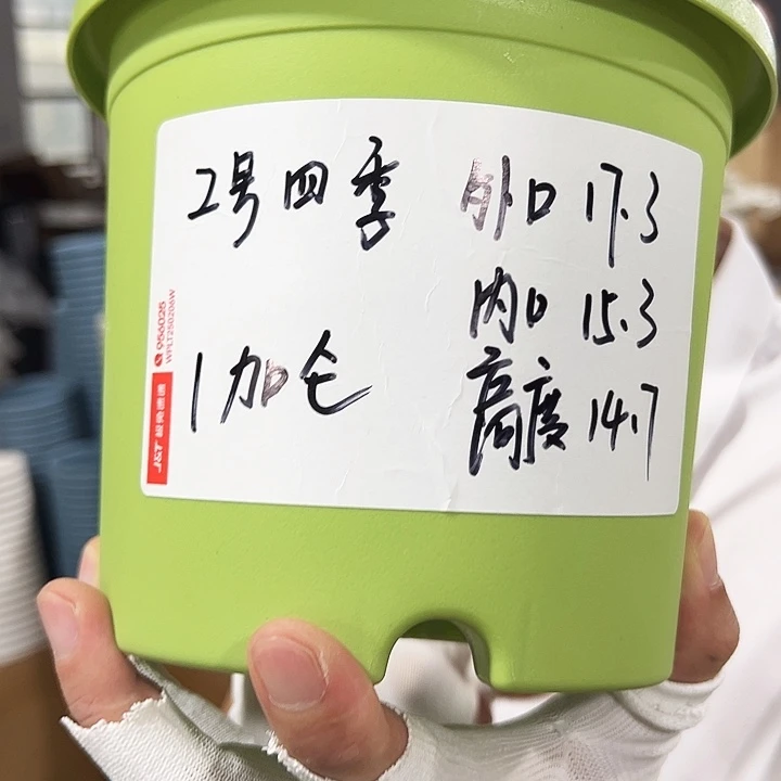 特价2号四季口17高15白色无托10个