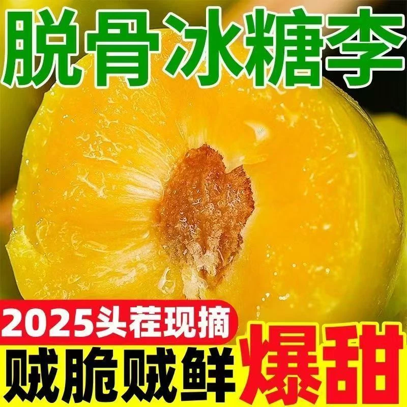 蜂糖李贵州正宗爆甜六马蜂糖李子应季爆甜酥脆现摘新鲜李子高山李