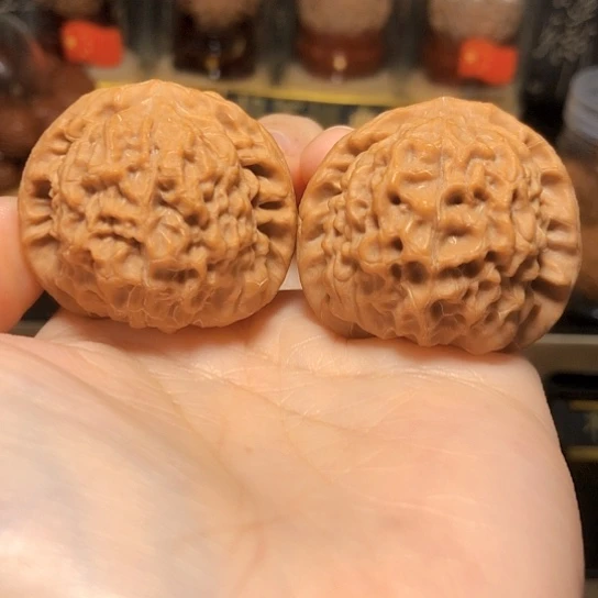 野生：鱼籽纹全品