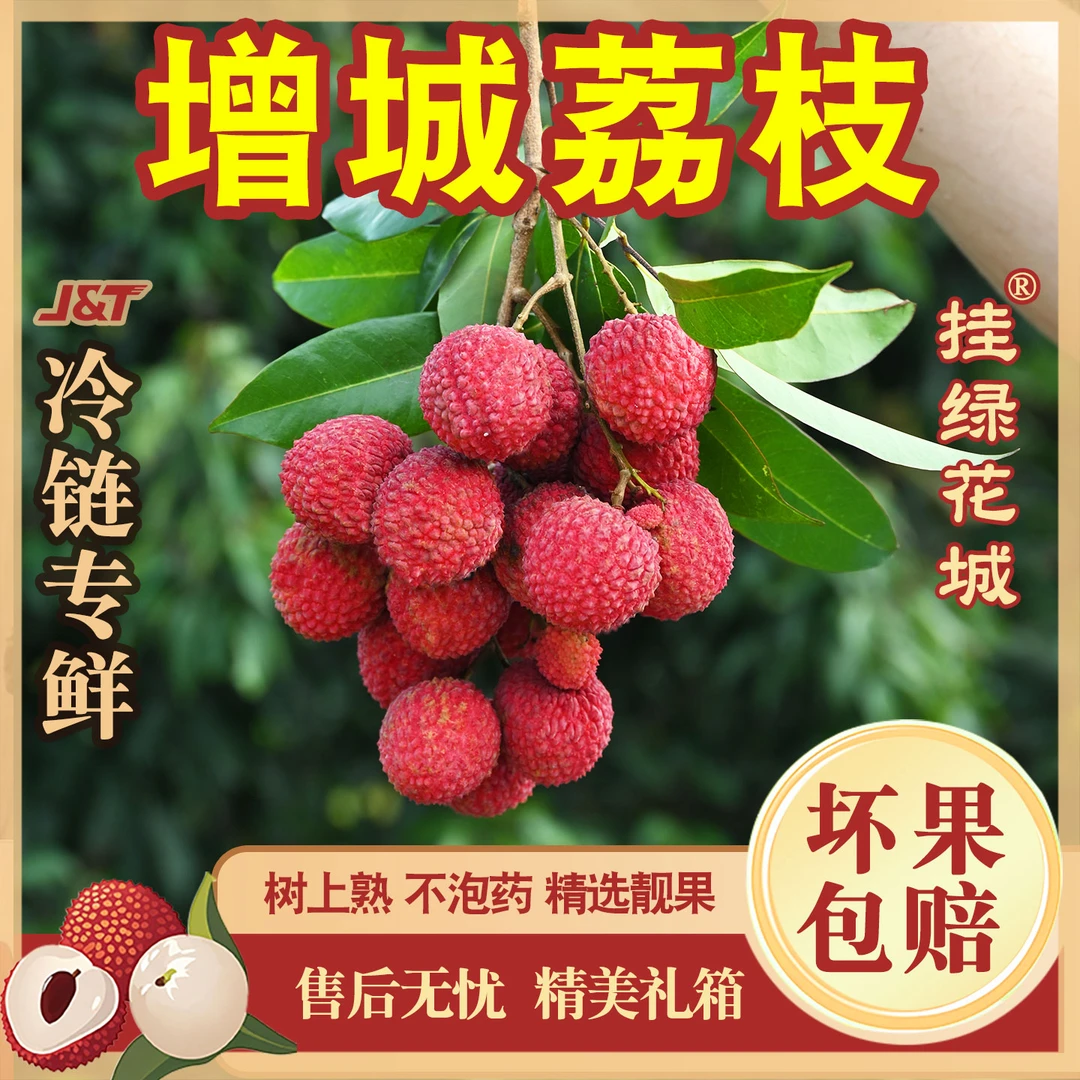 挂绿花城【正宗荔枝桂味】生鲜冷链专递果场直发新鲜水果孕妇送礼箱