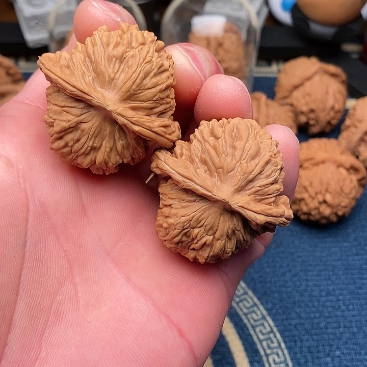 文玩核桃把件楼子41全