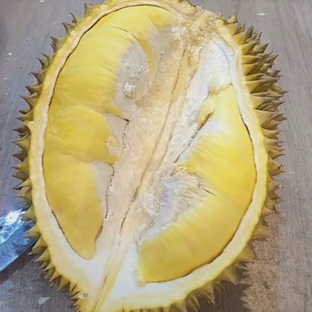 新鲜榴莲泰国金枕，一物一拍，斤，核小，佛山同城小时达金枕泰国