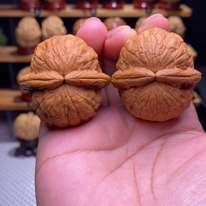 木质类云铁金龟玉甲54号