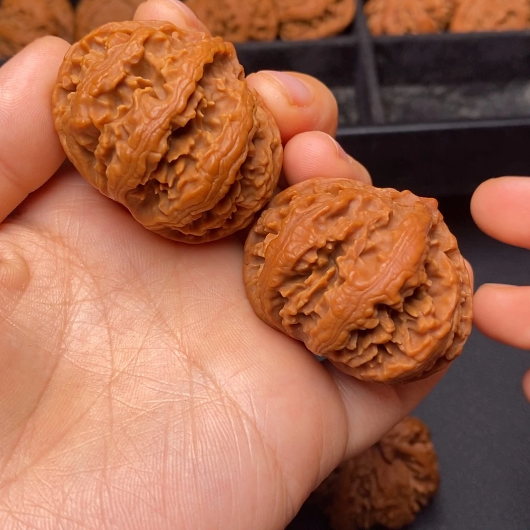 秦岭野生文玩核桃