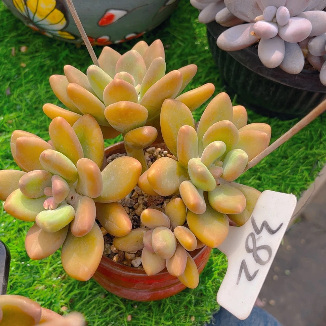 ?****？283fghjjjjjjjjjjj