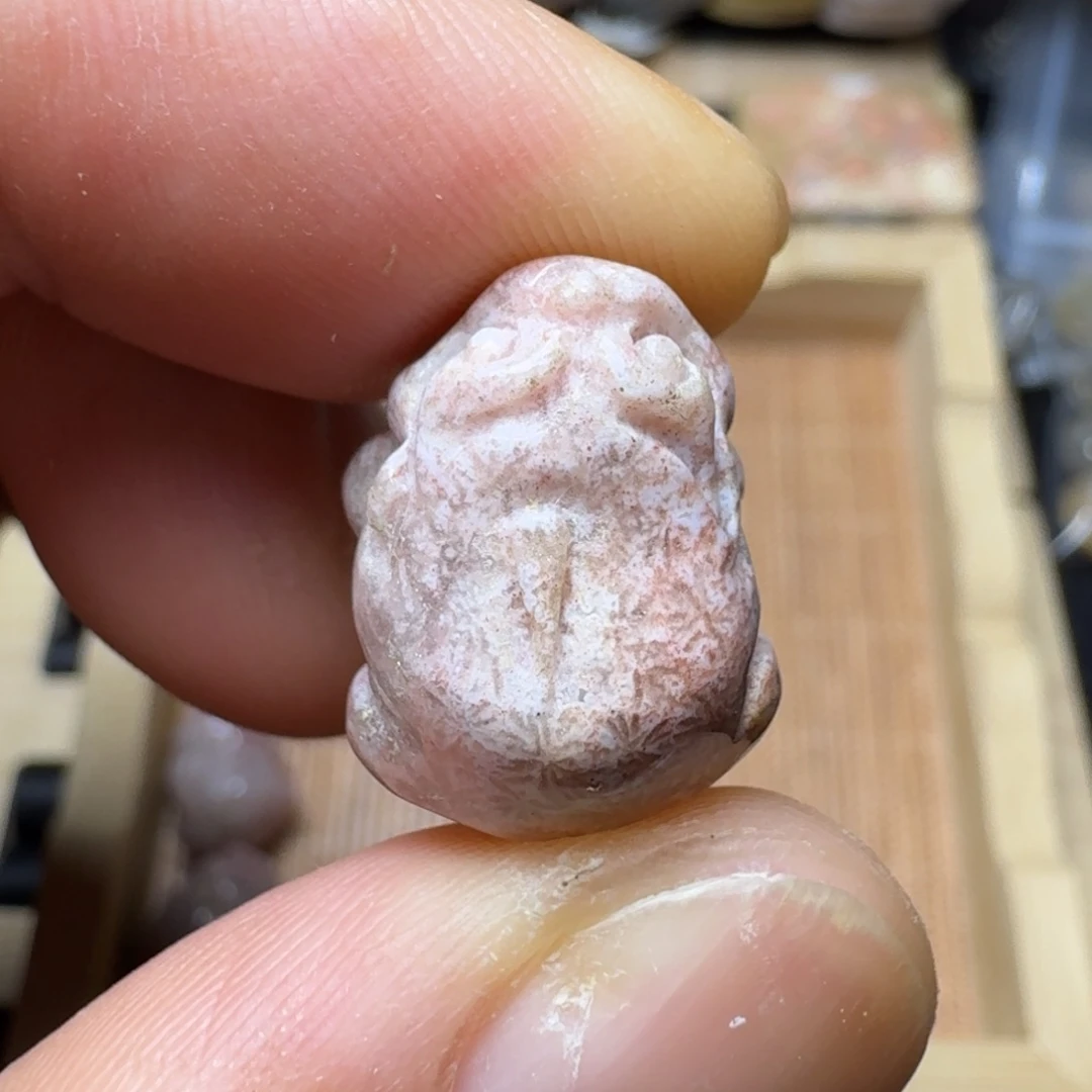 一***界未镶嵌纯天色有机玉石保真色硅化玉