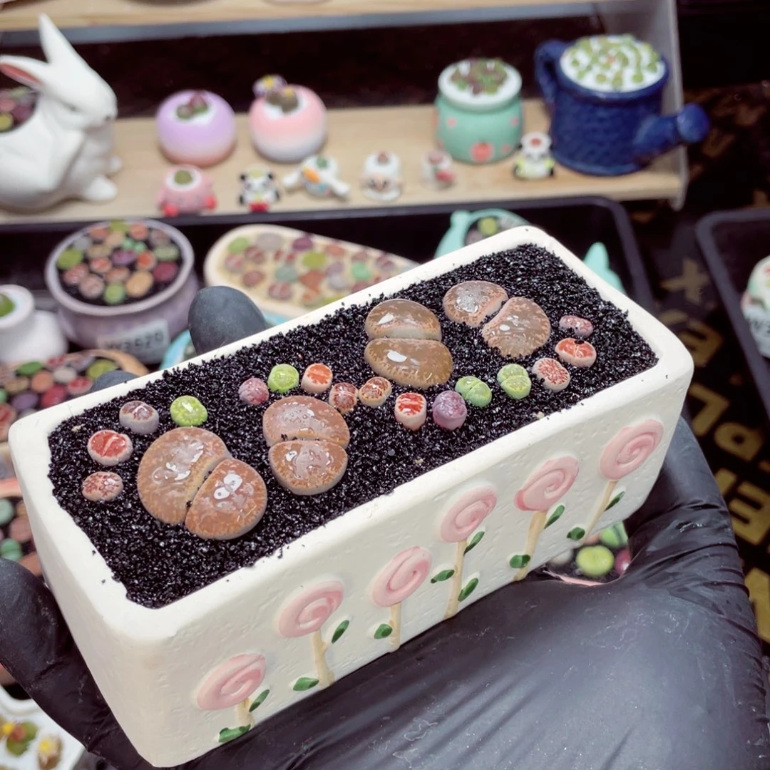 夜间零下地区拍保温箱w3625