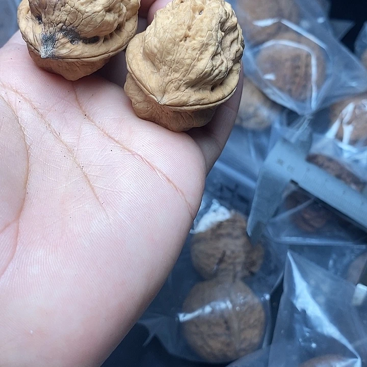 把件文玩核桃     37h