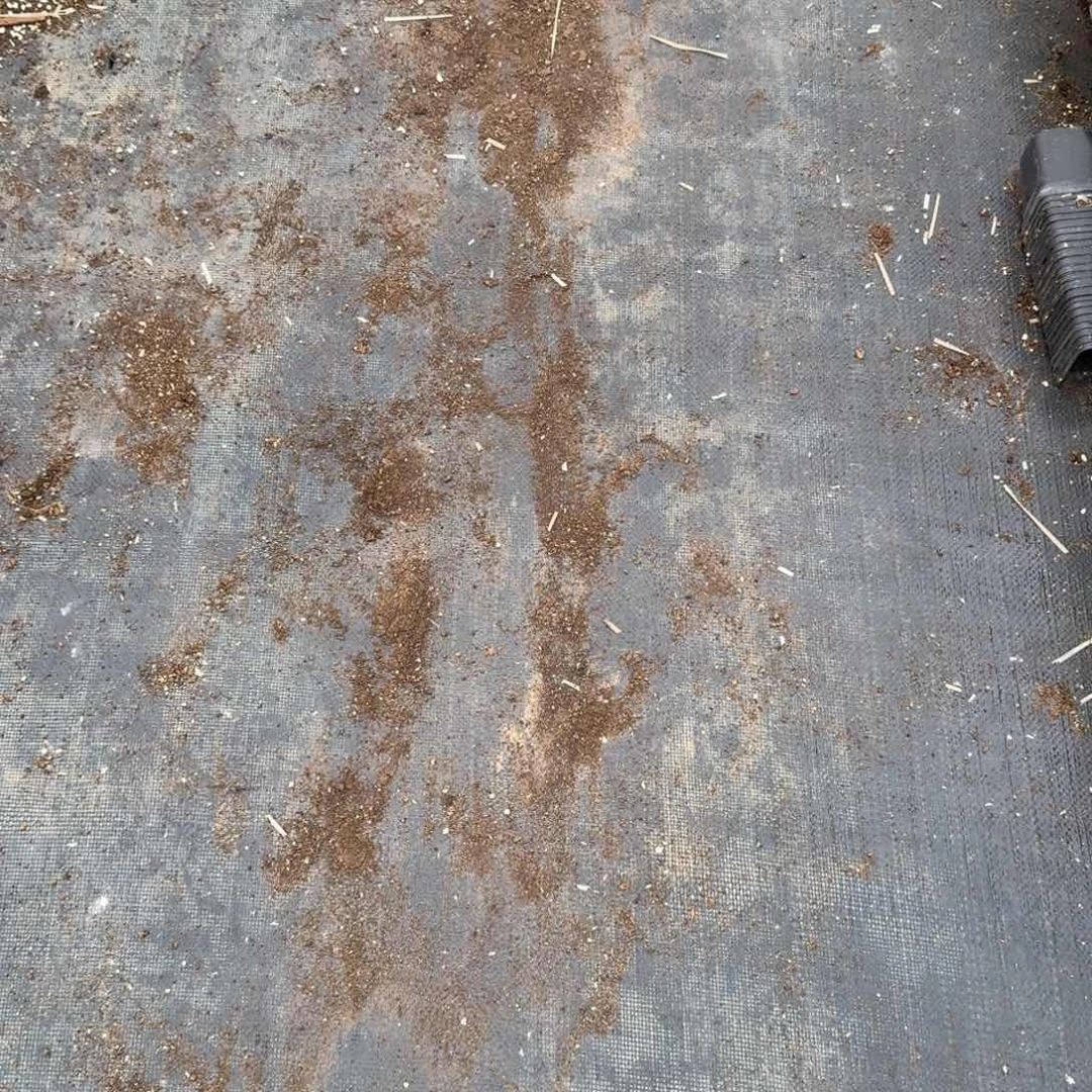 十八颗各式各样不指定量拍