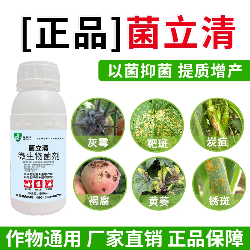 菌立清炭疽锈斑根腐白粉霜霉灰霉软腐青枯叶斑褐斑正品微生物菌剂