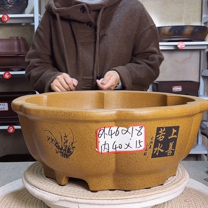 紫砂紫砂花盆花盆